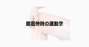 膝屈伸時の運動学