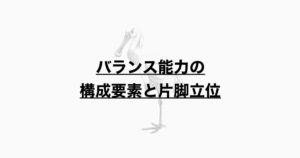 バランス能力の構成要素と片脚立位