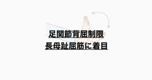 足関節背屈制限　長母趾屈筋に着目