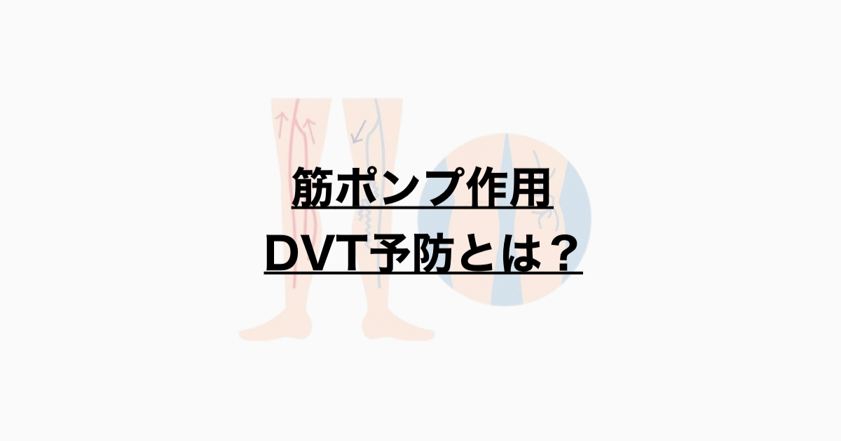 筋ポンプ作用　下腿静脈について
