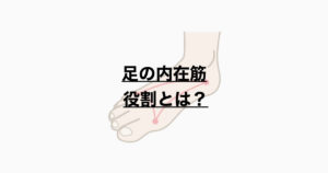 足の内在筋　役割とは？　　