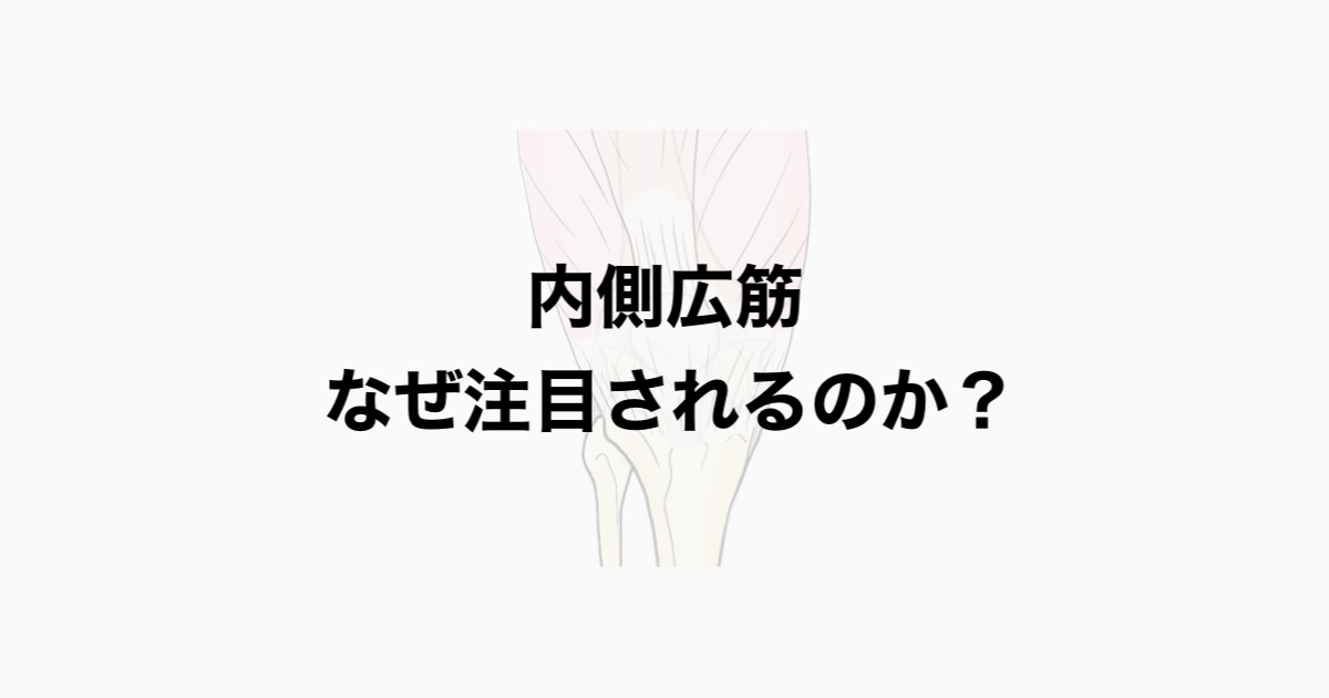 内側広筋 なぜ注目されるのか？