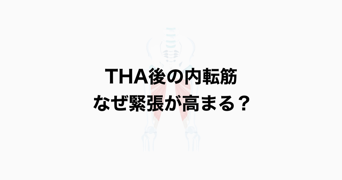 THA後の内転筋 なぜ緊張が高まる？