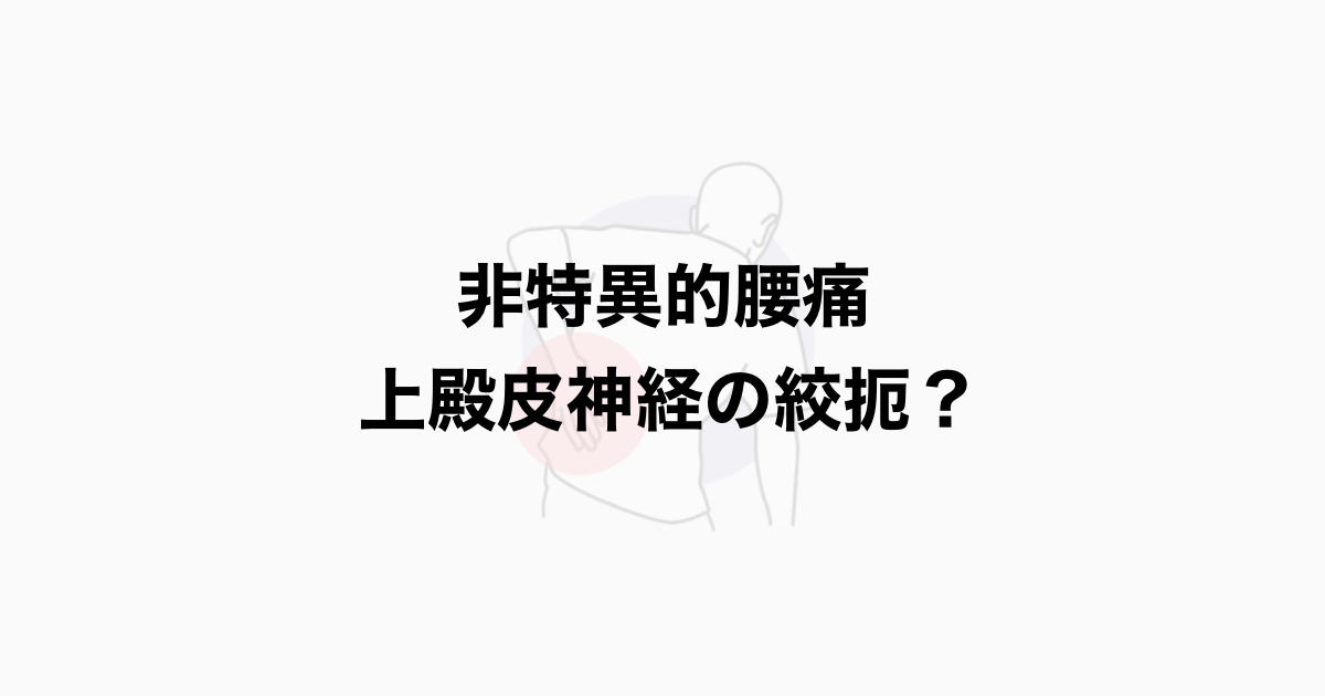 非特異的腰痛 上殿皮神経の絞扼？