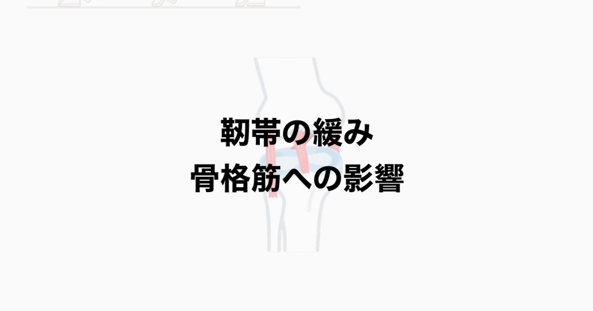 靭帯の緩みと骨格筋
